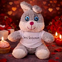 Toptan Sevimli Seni Seviyorum Tişörtlü Peluş Tavşan