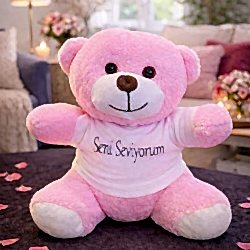 Toptan Pembe Seni Seviyorum Tişörtlü Ayıcık