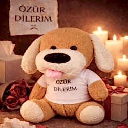 Toptan Özür Dilerim Tişörtlü Peluş Oyuncak Köpek